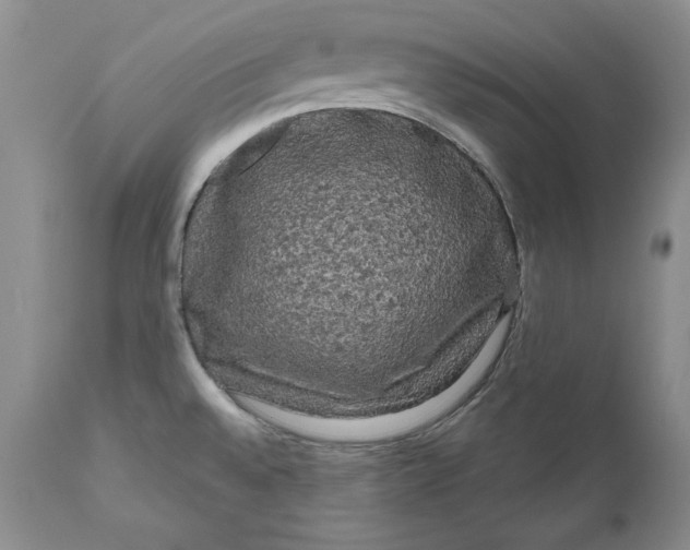 X0000111051528200907091621