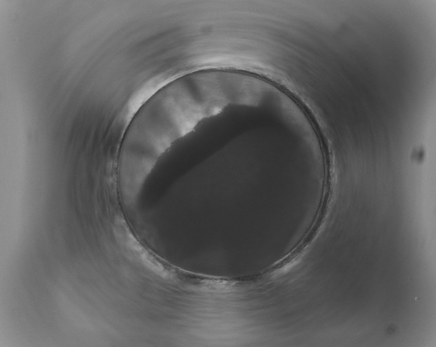 X0000111051529200907091621