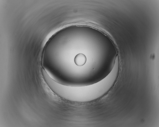 X0000111051530200907091621