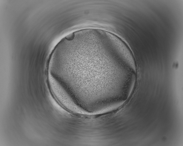 X0000111051531200907091621