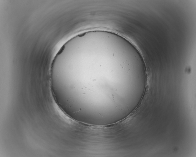 X0000111051532200907091621