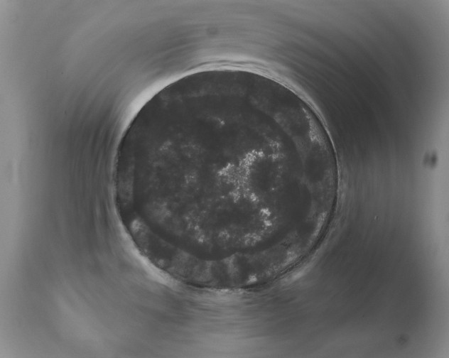 X0000111051533200907091621