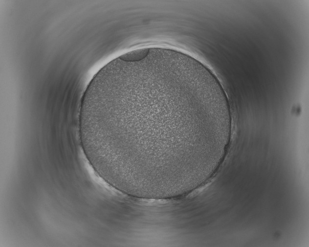 X0000111051534200907091621