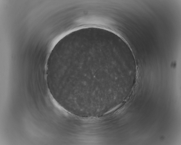 X0000111051535200907091621