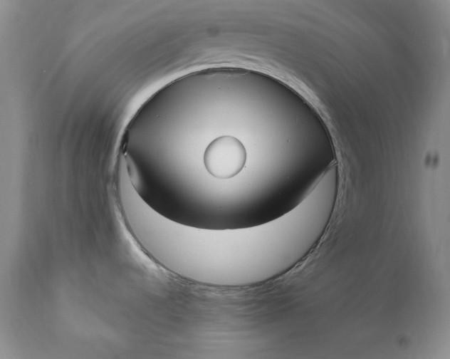 X0000111051536200907091621