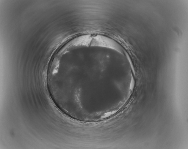 X0000111050002200907161414