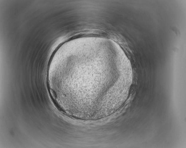 X0000111050003200907161414