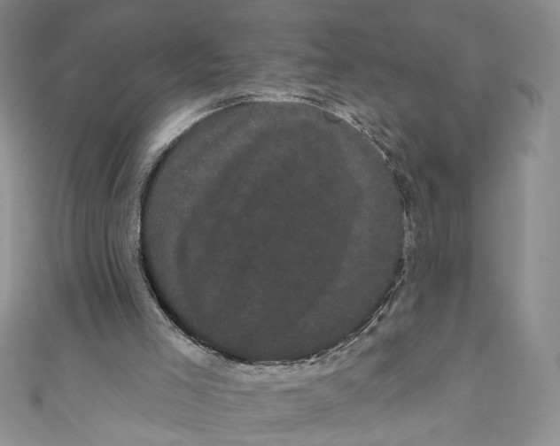 X0000111050005200907161414