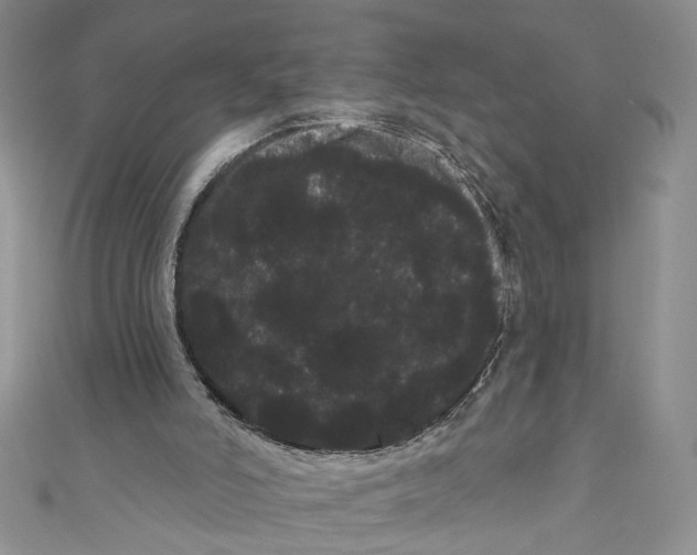 X0000111050006200907161414