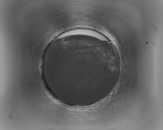 X0000111050009200907161414