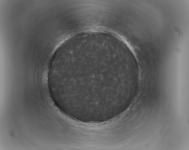 X0000111050010200907161414