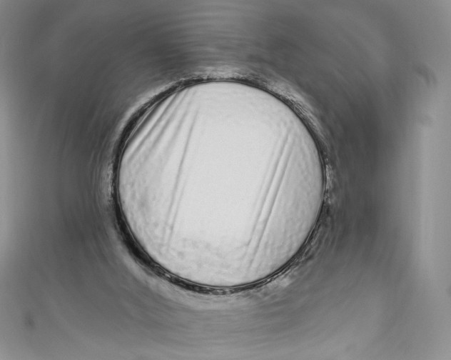 X0000111050012200907161414