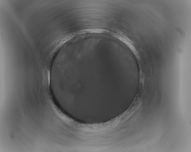 X0000111050013200907161414