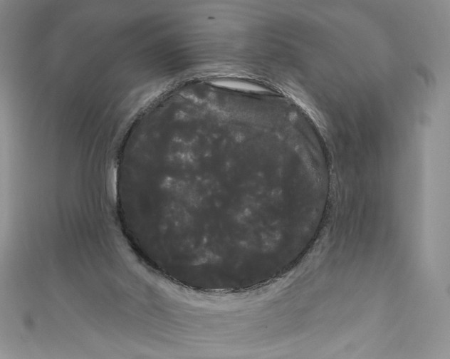 X0000111050014200907161414