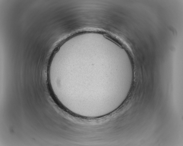 X0000111050015200907161414