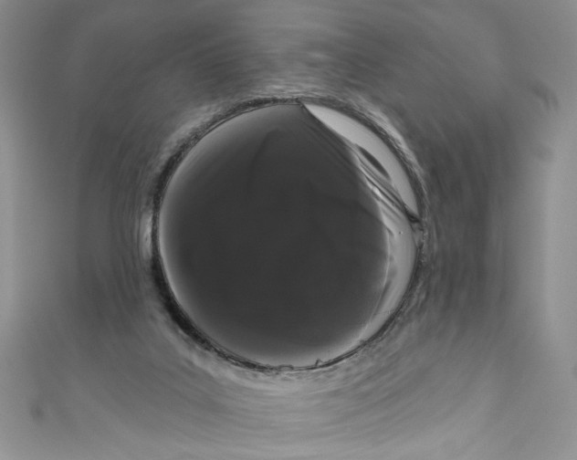 X0000111050019200907161414