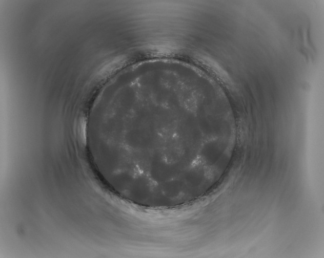 X0000111050022200907161414