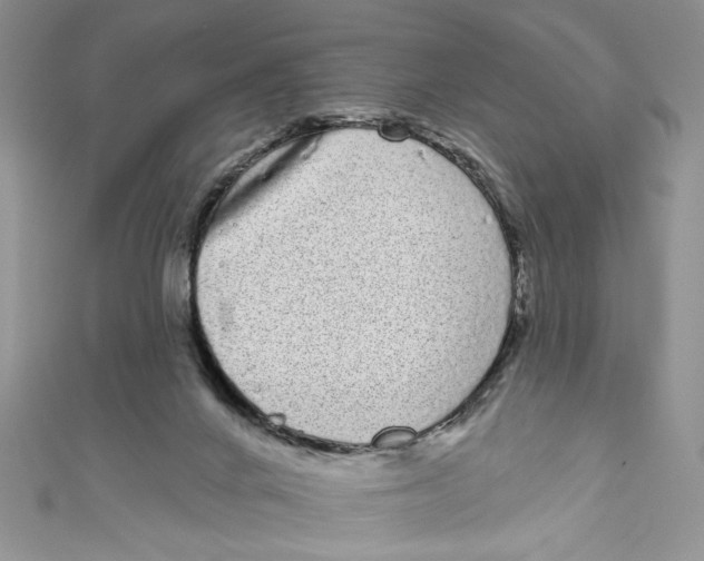 X0000111050024200907161414