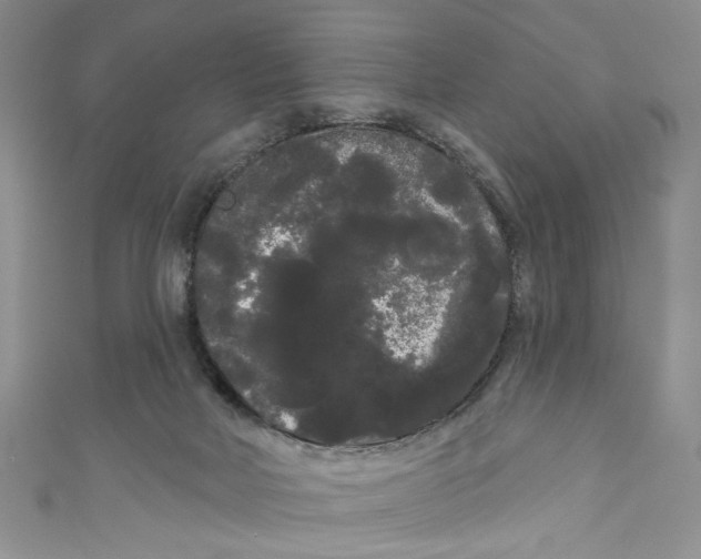 X0000111050026200907161414