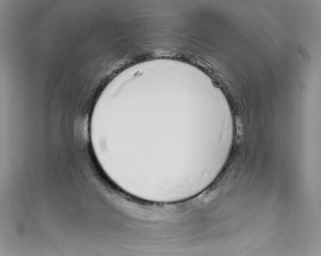 X0000111050028200907161414