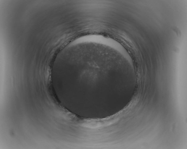 X0000111050029200907161414