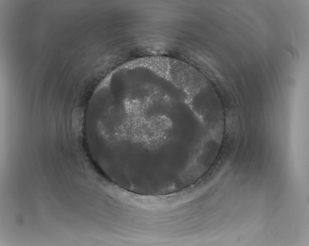 X0000111050030200907161414