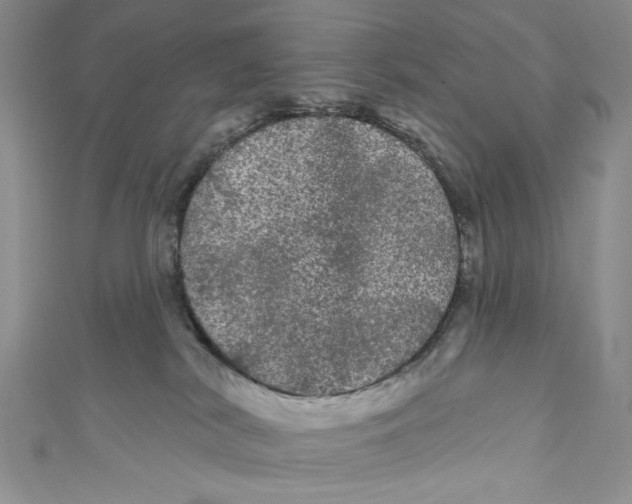 X0000111050038200907161414