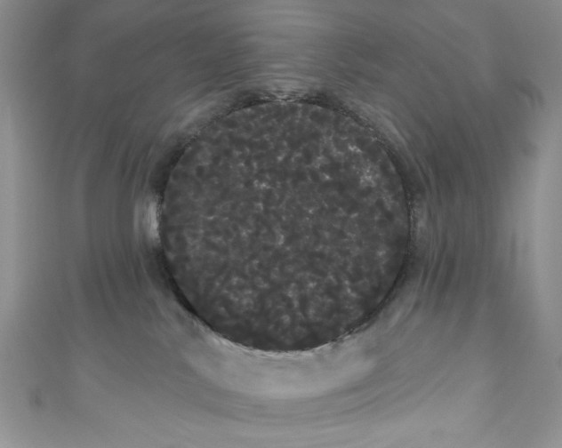 X0000111050042200907161414