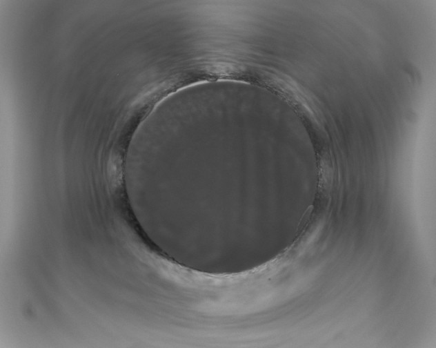 X0000111050043200907161414