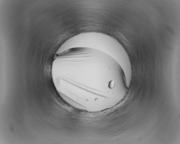 X0000111050045200907161414