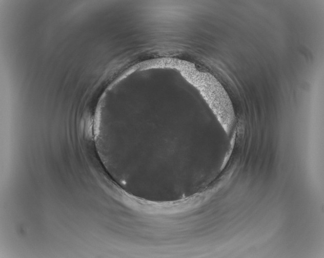 X0000111050046200907161414