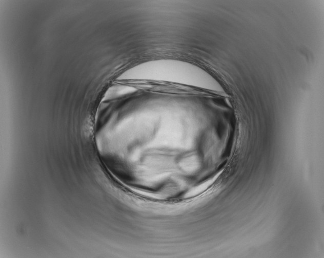 X0000111050048200907161414