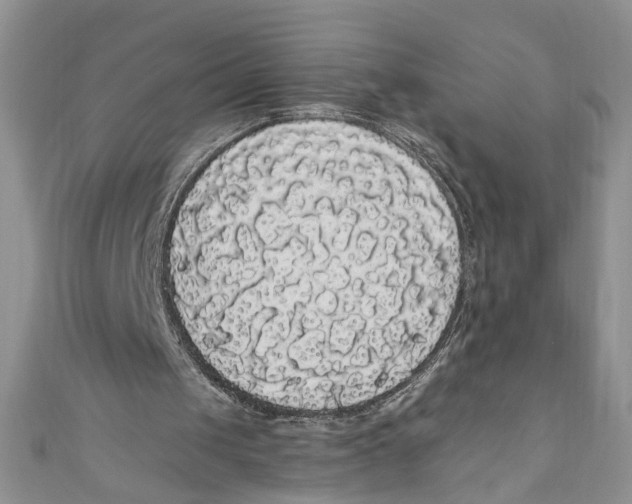 X0000111050049200907161413