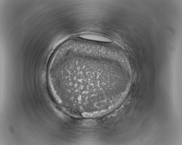 X0000111050050200907161413