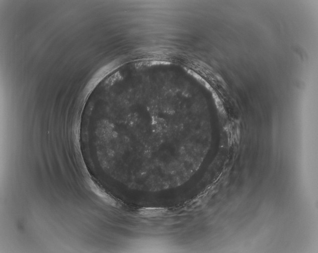 X0000111050051200907161413