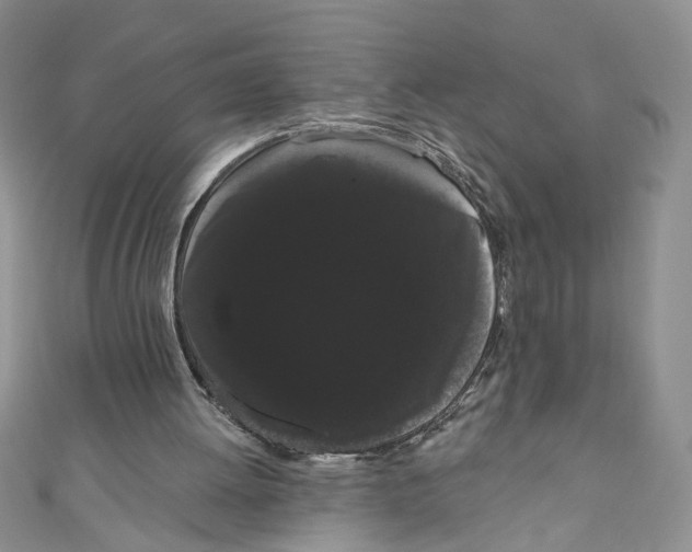 X0000111050052200907161413