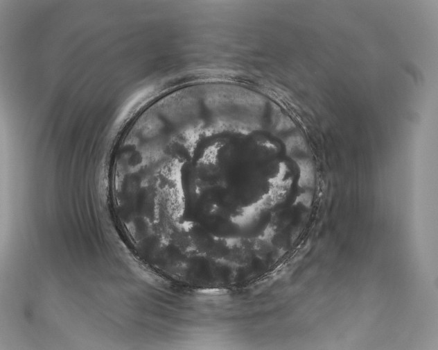 X0000111050053200907161413