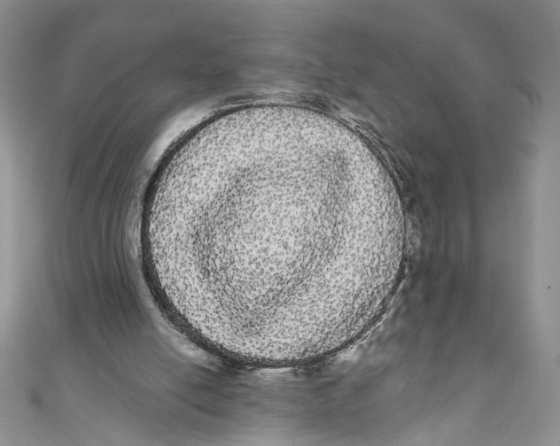 X0000111050054200907161413