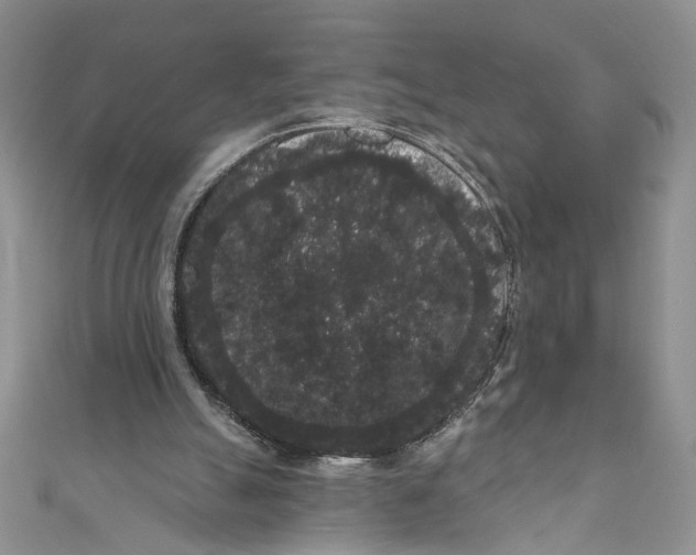 X0000111050055200907161413