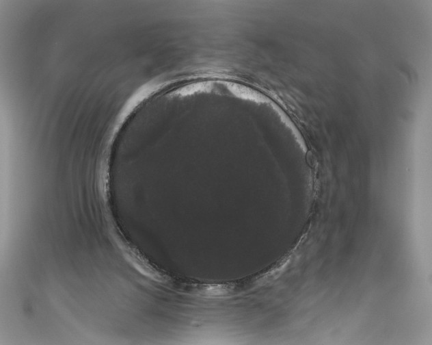 X0000111050056200907161413