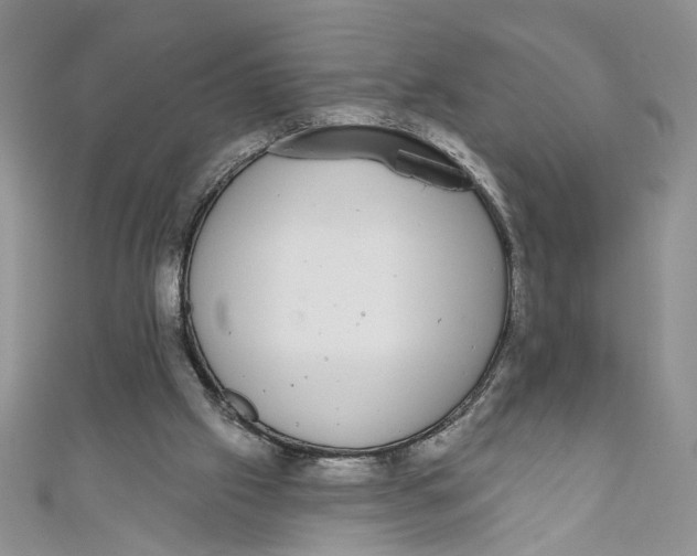 X0000111050057200907161413