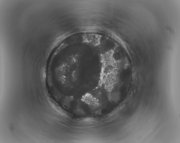 X0000111050059200907161413