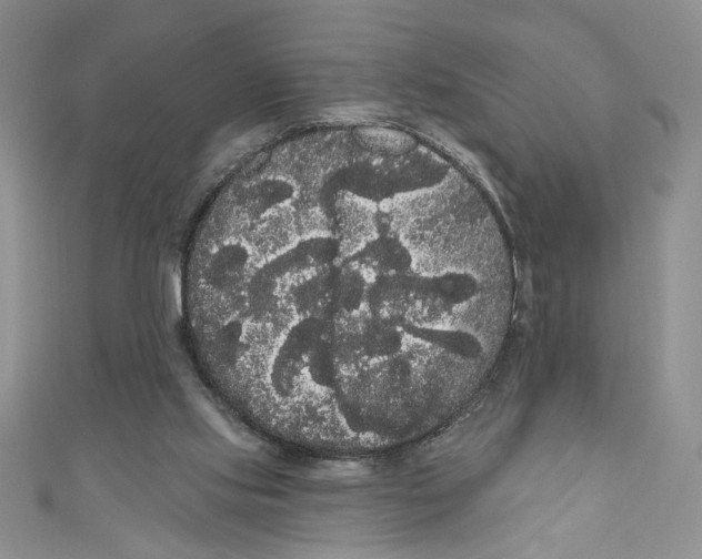 X0000111050061200907161413