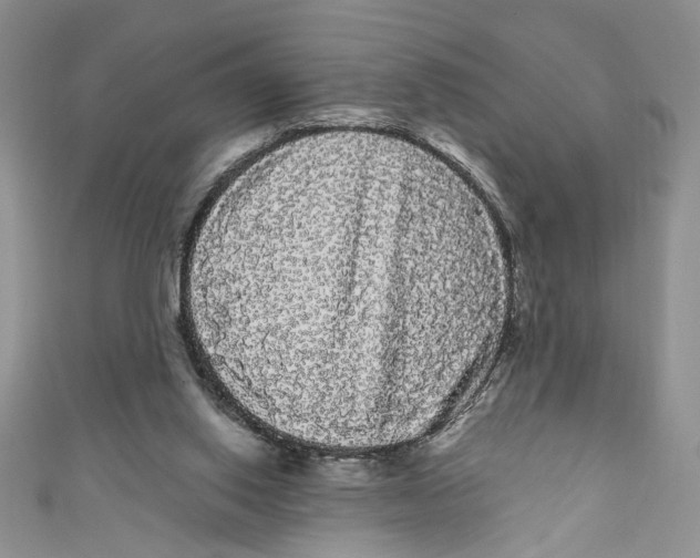 X0000111050062200907161413