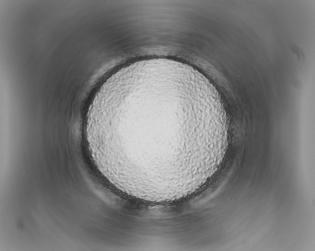 X0000111050064200907161413