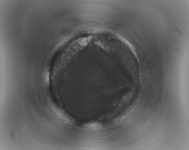 X0000111050067200907161413