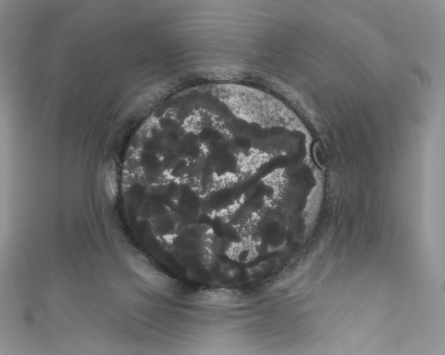 X0000111050069200907161413