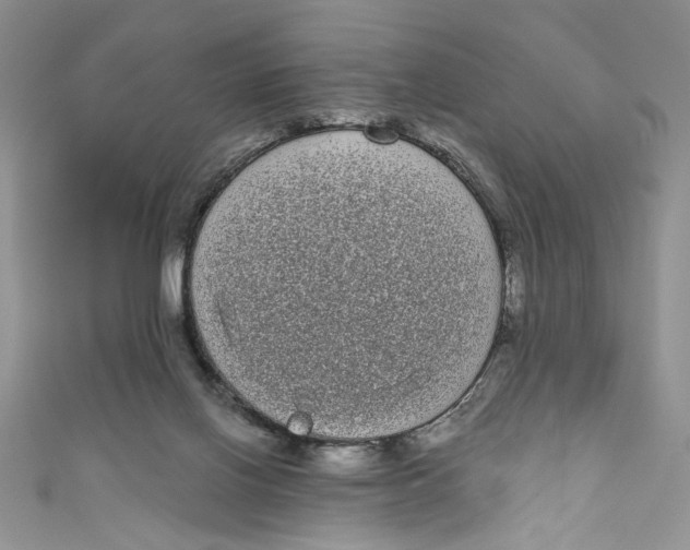 X0000111050070200907161413