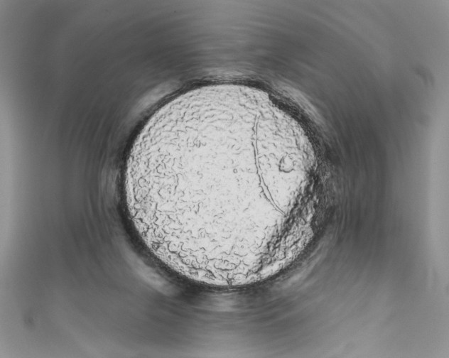 X0000111050071200907161413