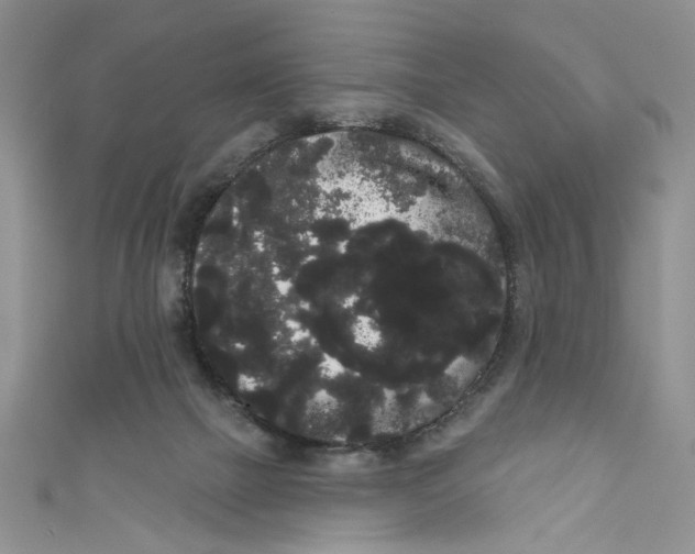 X0000111050073200907161413